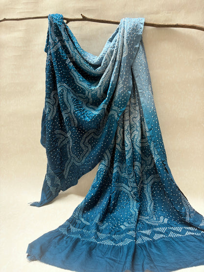 Gajji Ombre Blue Rai Dana Dupatta