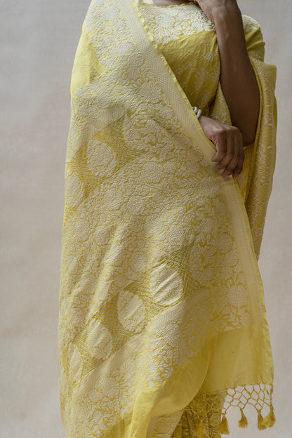 Katan Parsi Rai Dana Lime Green Bandhej Saree