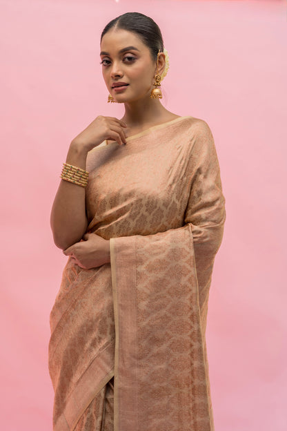 Katan Tissue Beige Saree