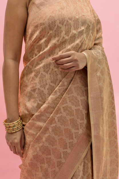 Katan Tissue Beige Saree