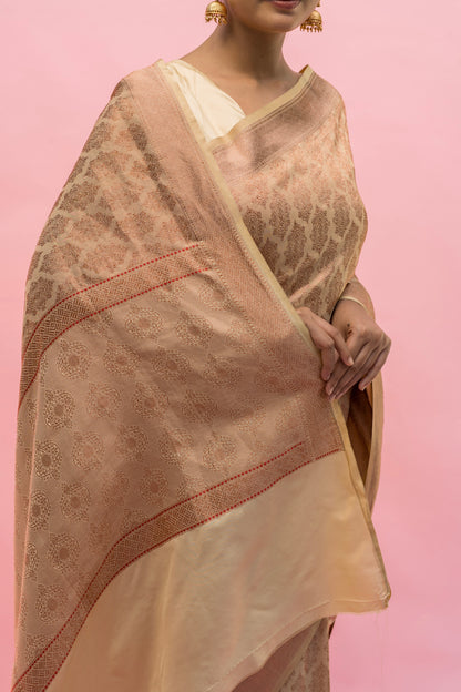 Katan Tissue Beige Saree