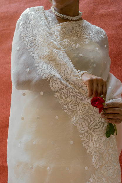 Organza Parsi White Saree