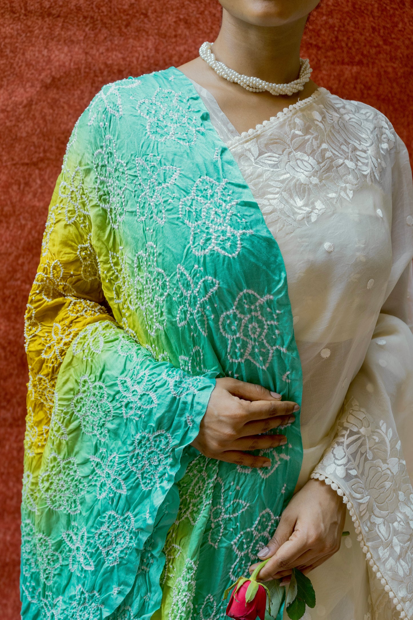 Organza Parsi White Saree
