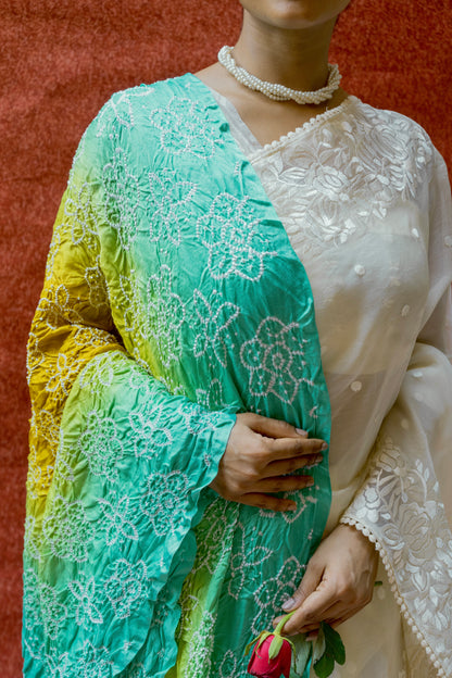 Organza Parsi White Saree