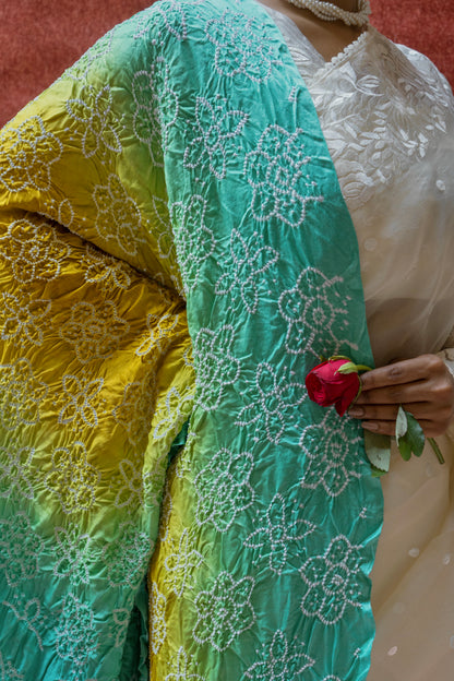 Organza Parsi White Saree