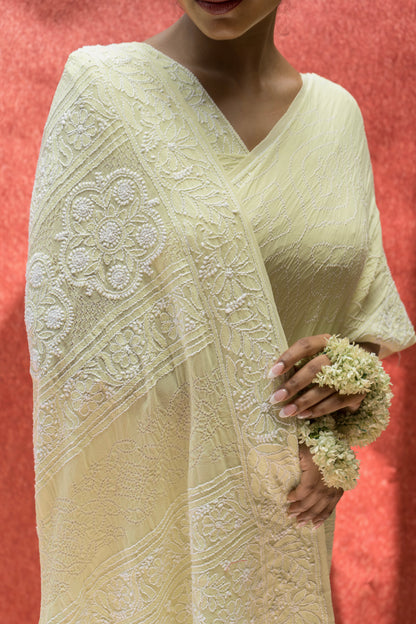 Lucknowi Georgette Rai Dana (Mint Green) Bandhej Saree
