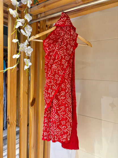 Gajji Intricate Rai Dana Red Bandhej Saree
