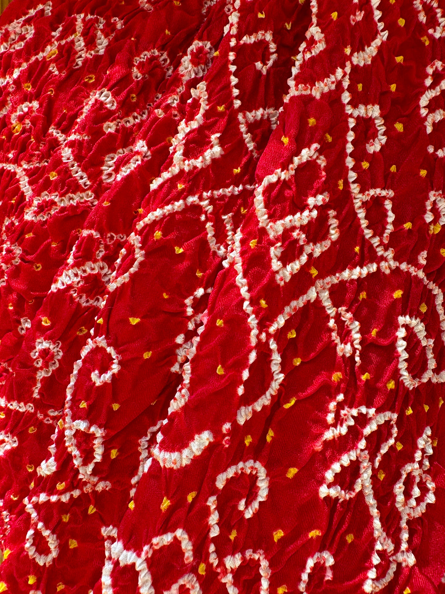 Gajji Intricate Rai Dana Red Bandhej Saree