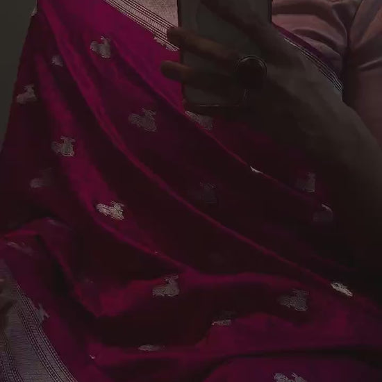 Shikargah Tanchoi Resham Zari Saree (Jamni)