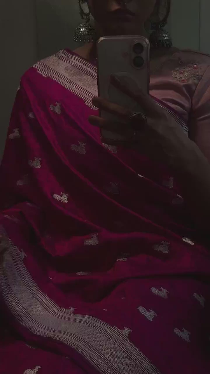 Shikargah Tanchoi Resham Zari Saree (Jamni)