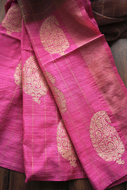 Kora Checks Matka Border Saree (Chikoo)